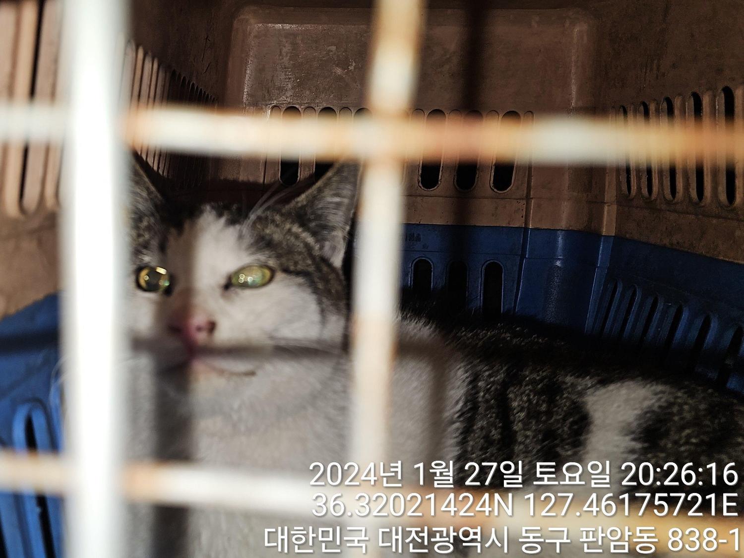 대전동물보호센터_430364202400022