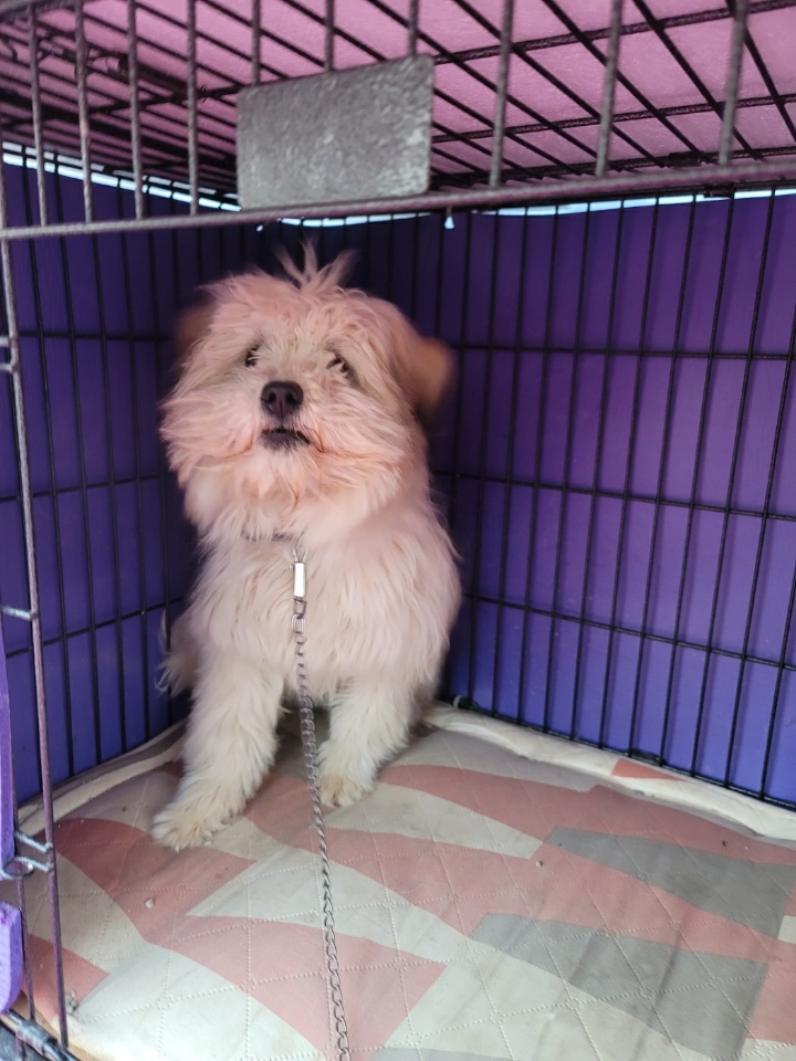 괴산증평동물보호센터_443446202400027