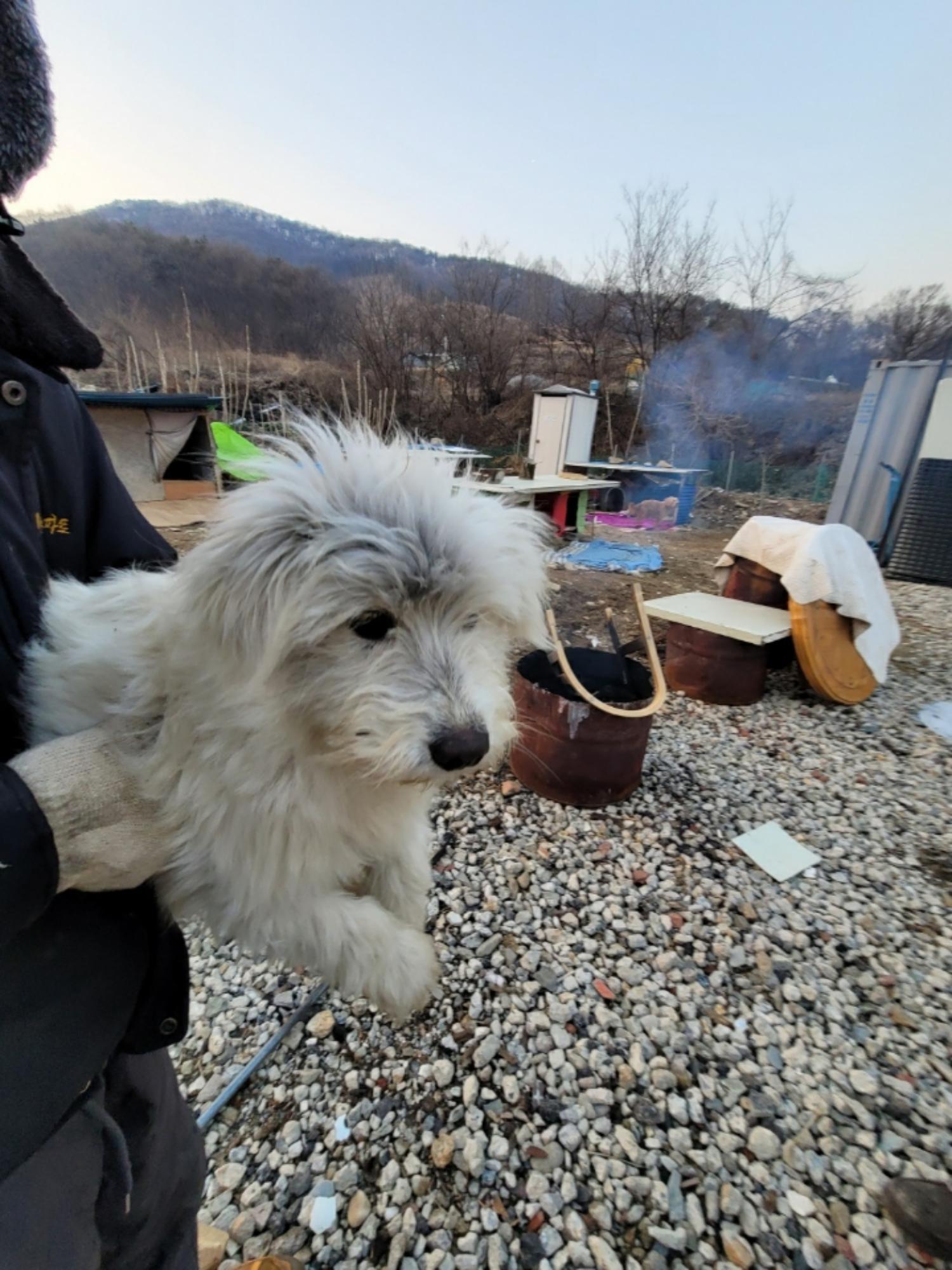 괴산증평동물보호센터_443446202400026