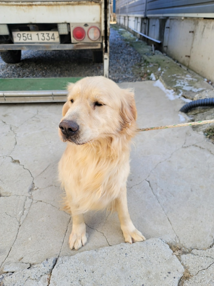 괴산증평동물보호센터_443446202400023