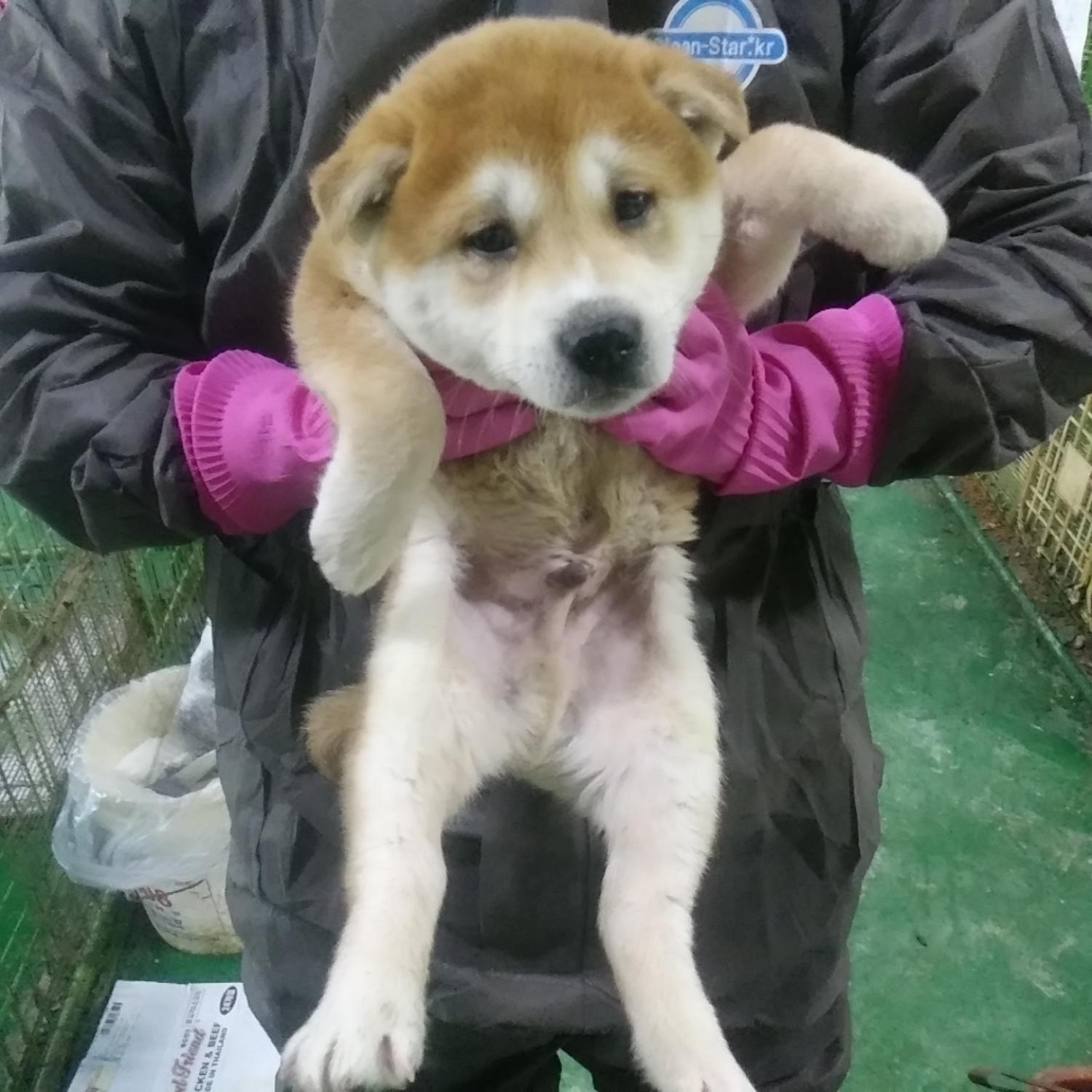 인천광역시수의사회_428353202400028