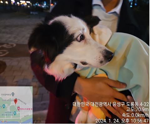 대전동물보호센터_430367202400032