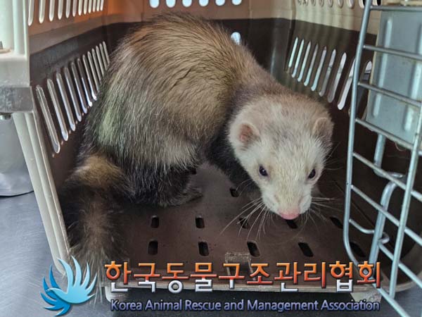 한국동물구조관리협회_411316202400005