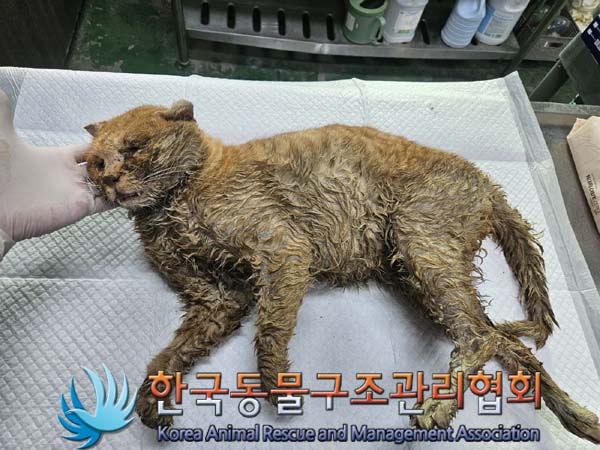 종료(자연사) 한국…
