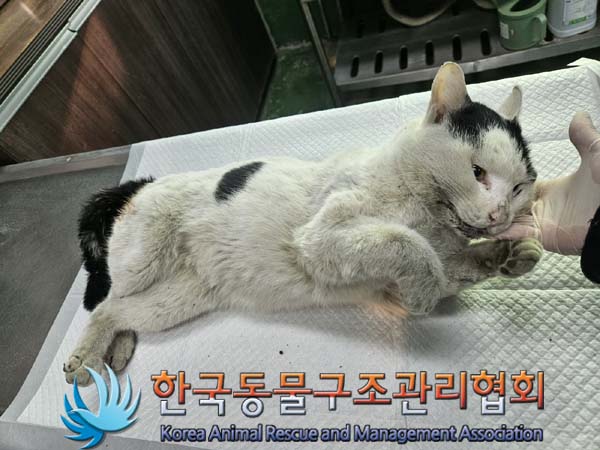종료(자연사) 한국…