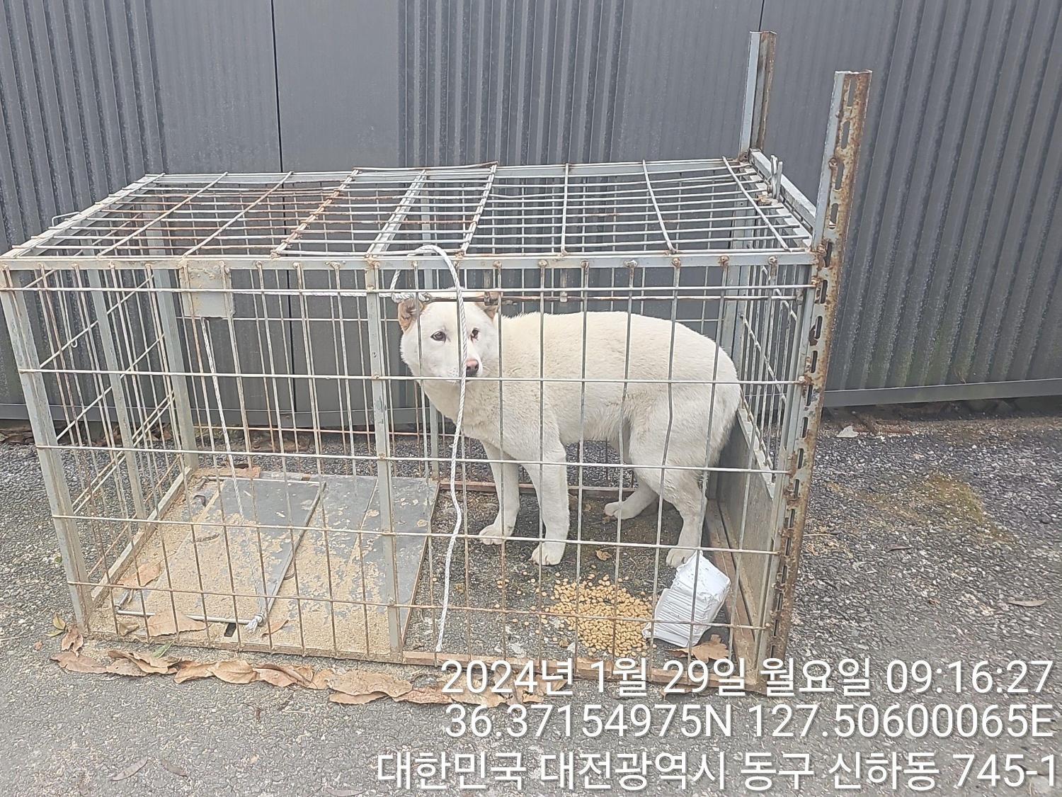대전동물보호센터_430364202400023