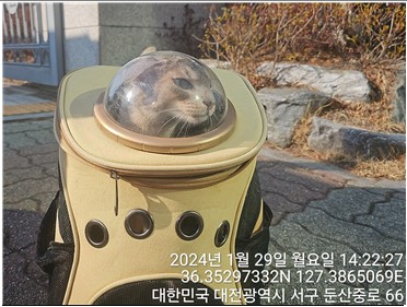 대전동물보호센터_430366202400027