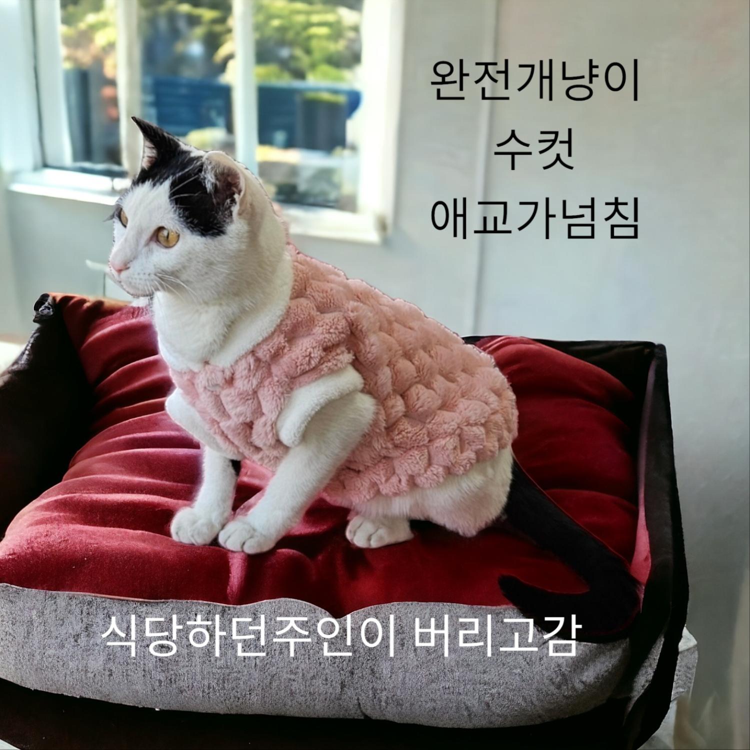성주유기동물보호센터_447521202400049