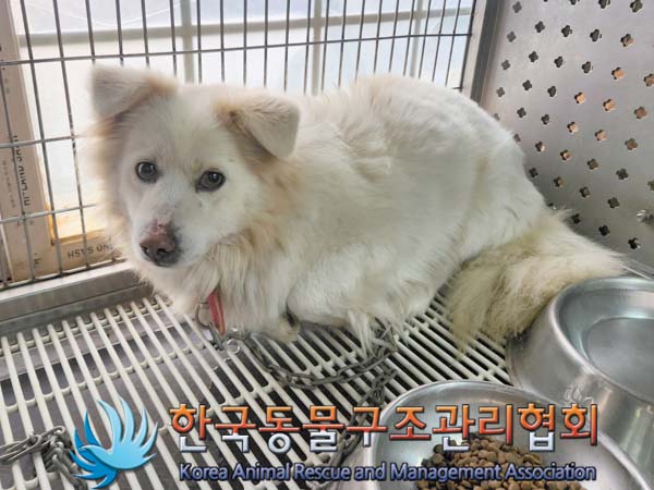 한국동물구조관리협회_441559202400061