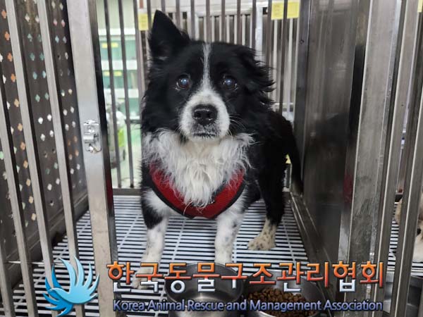 한국동물구조관리협회_411307202400008