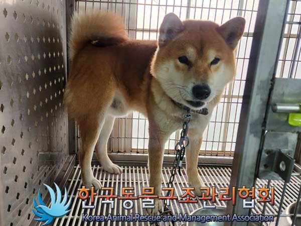 종료(반환) 시바의…