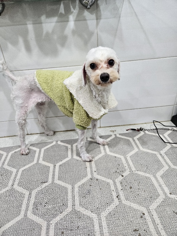 제니스동물병원_427346202400023