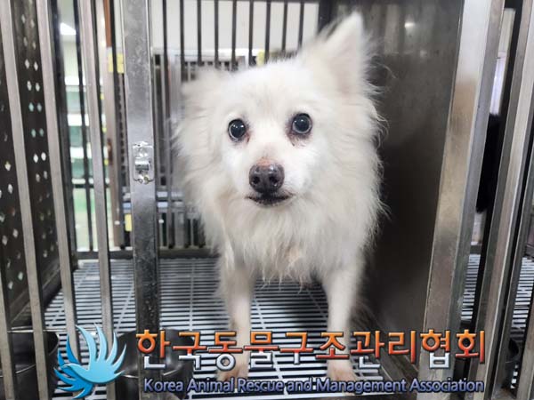 한국동물구조관리협회_411306202400006
