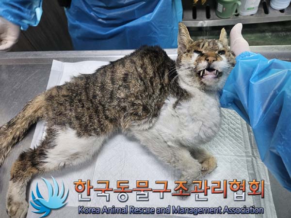 한국동물구조관리협회_411304202400005