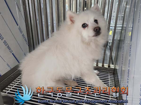 한국동물구조관리협회_441559202400064
