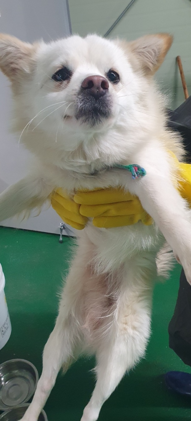 구례군동물보호센터_446487202400030