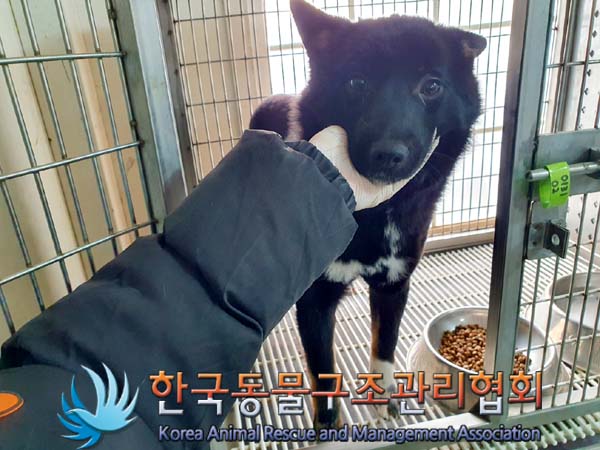 한국동물구조관리협회_441398202400009