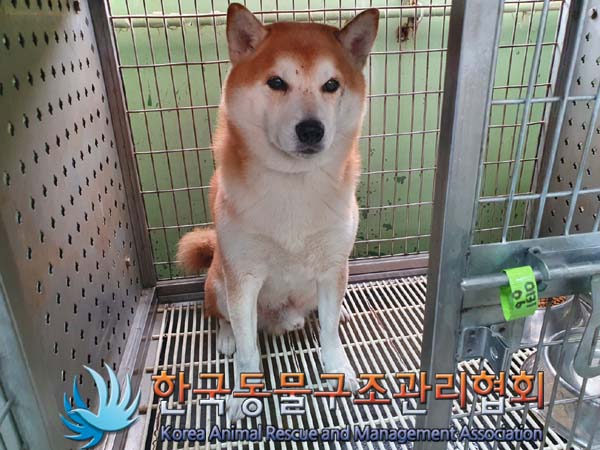 한국동물구조관리협회_411322202400007