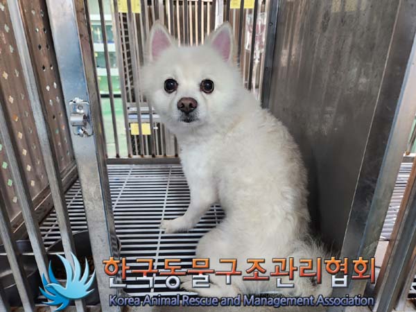 한국동물구조관리협회_411307202400009