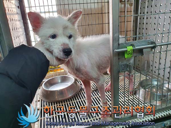 한국동물구조관리협회_411316202400006