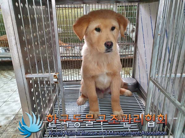 한국동물구조관리협회_441560202400087