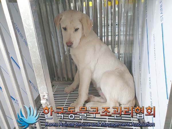 한국동물구조관리협회_441560202400079
