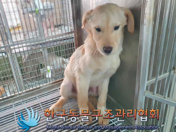 한국동물구조관리협회_441560202400083