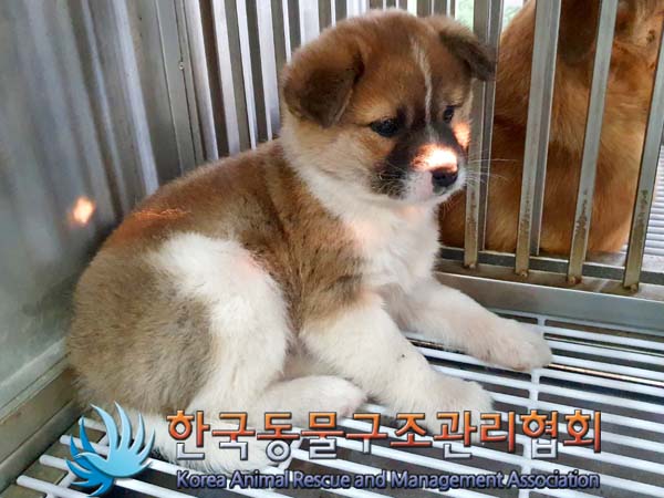 종료(자연사) 믹스…