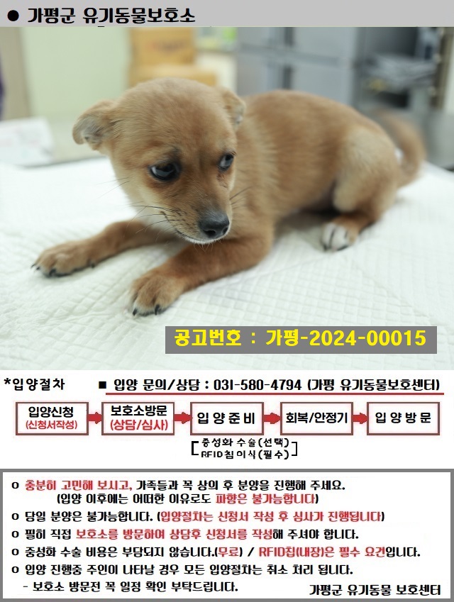 가평군유기동물보호소_441416202400015