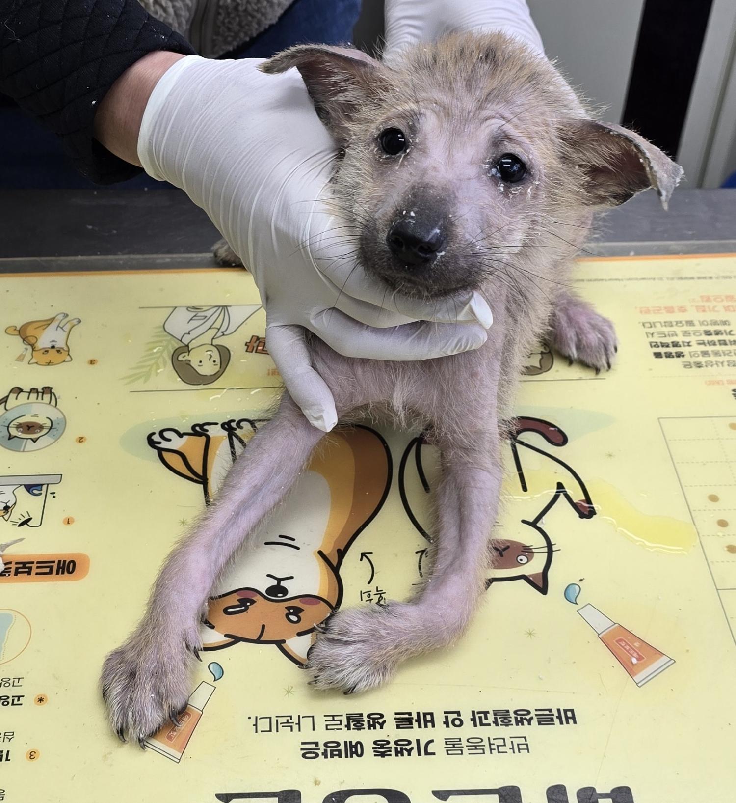 베스트동물병원_428357202400080