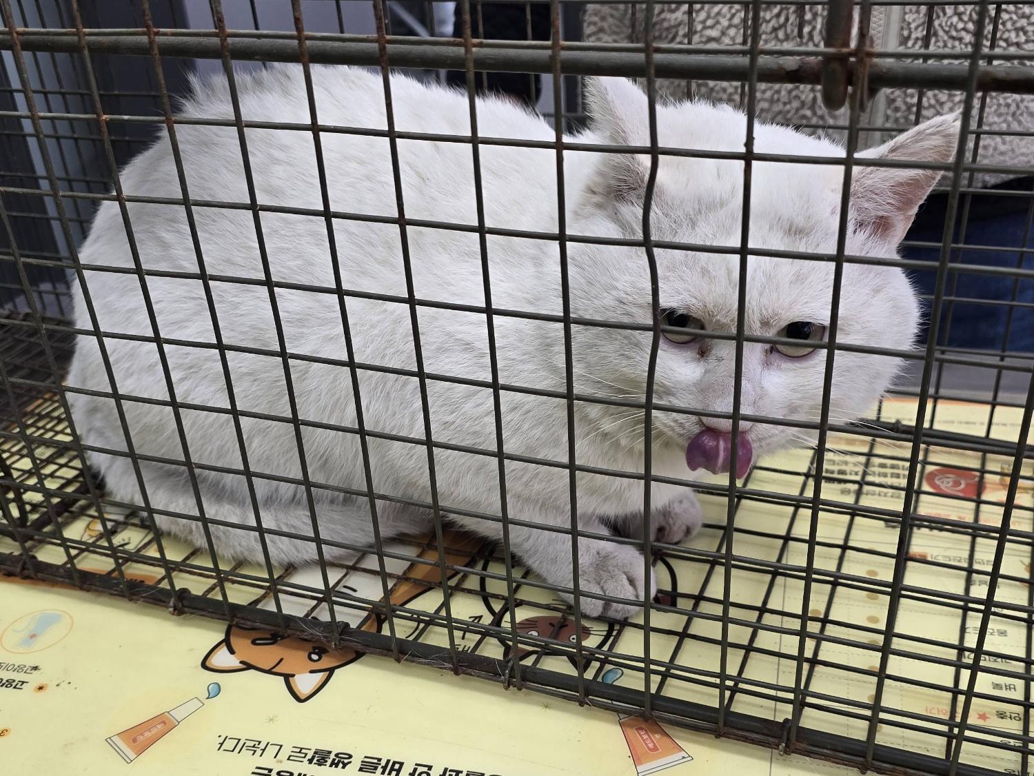 베스트동물병원_428357202400074