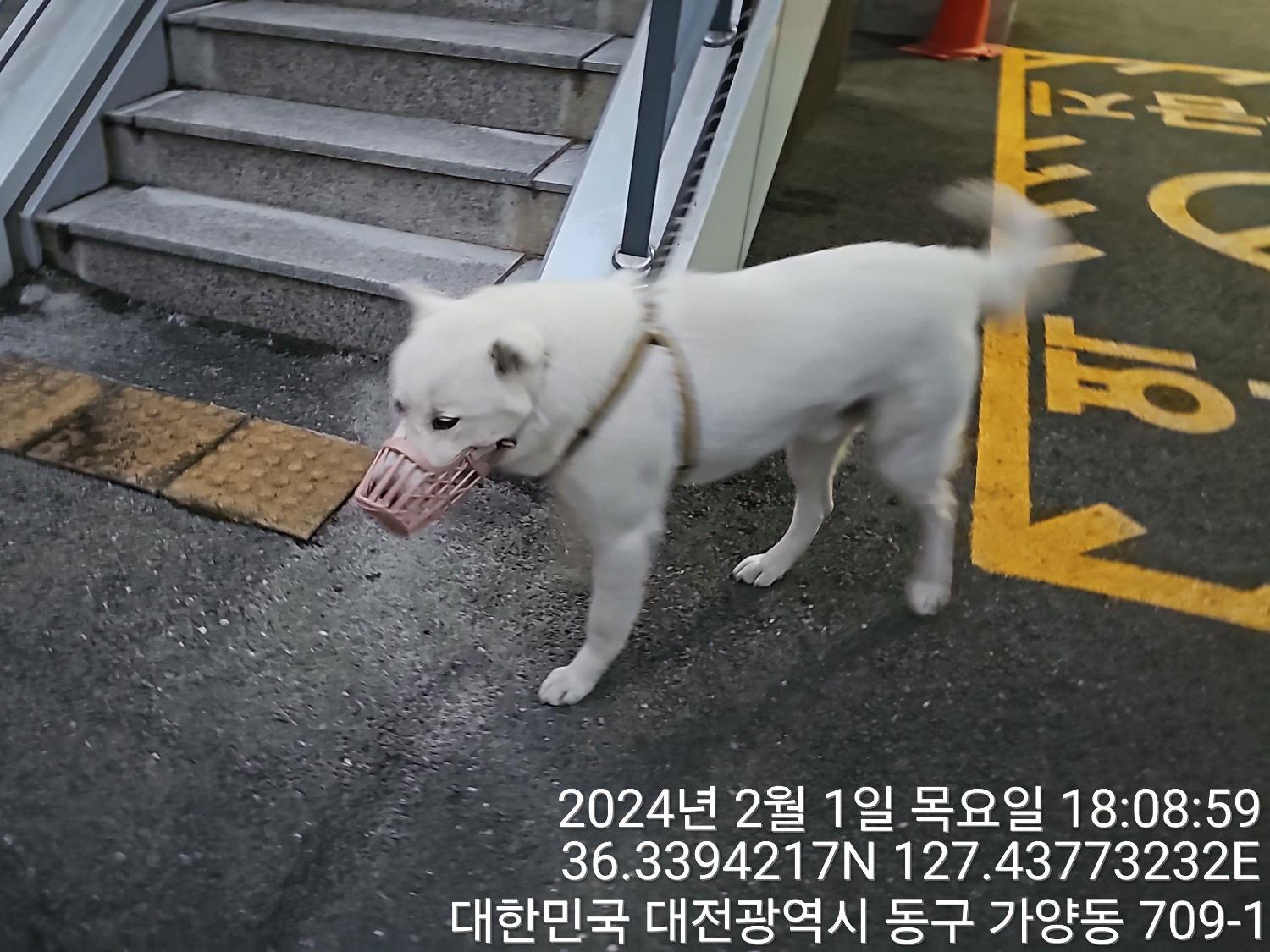 종료(반환) 풍산견…