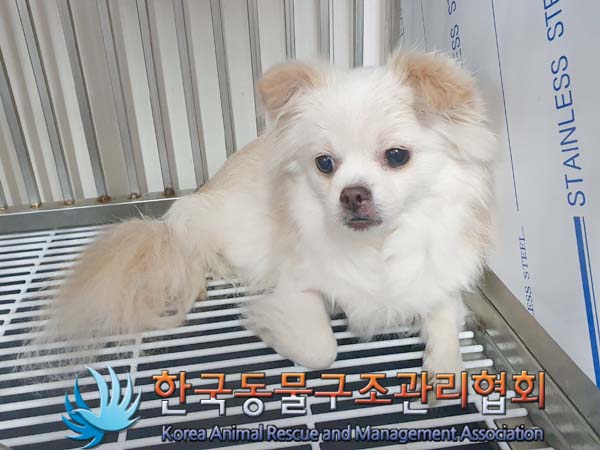한국동물구조관리협회_411315202400017