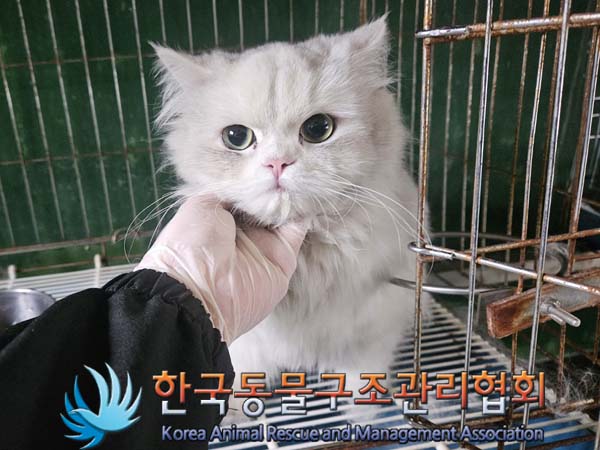 종료(입양) 먼치킨…
