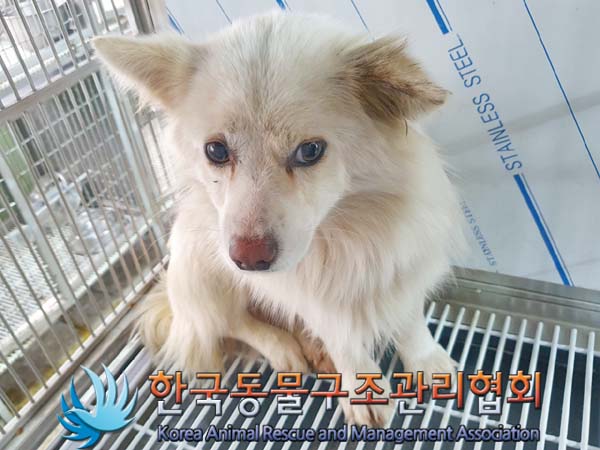 한국동물구조관리협회_441560202400090