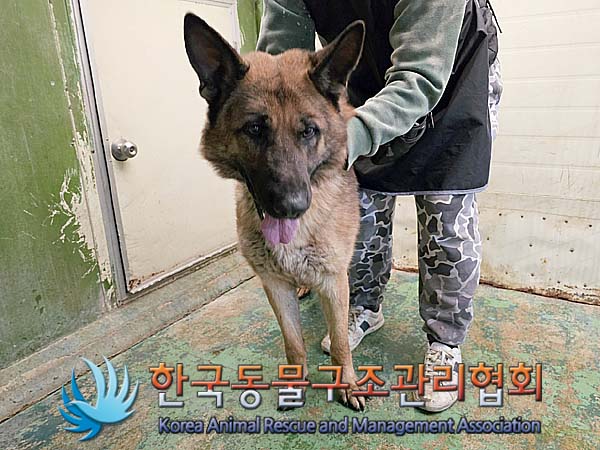 한국동물구조관리협회_441406202400152