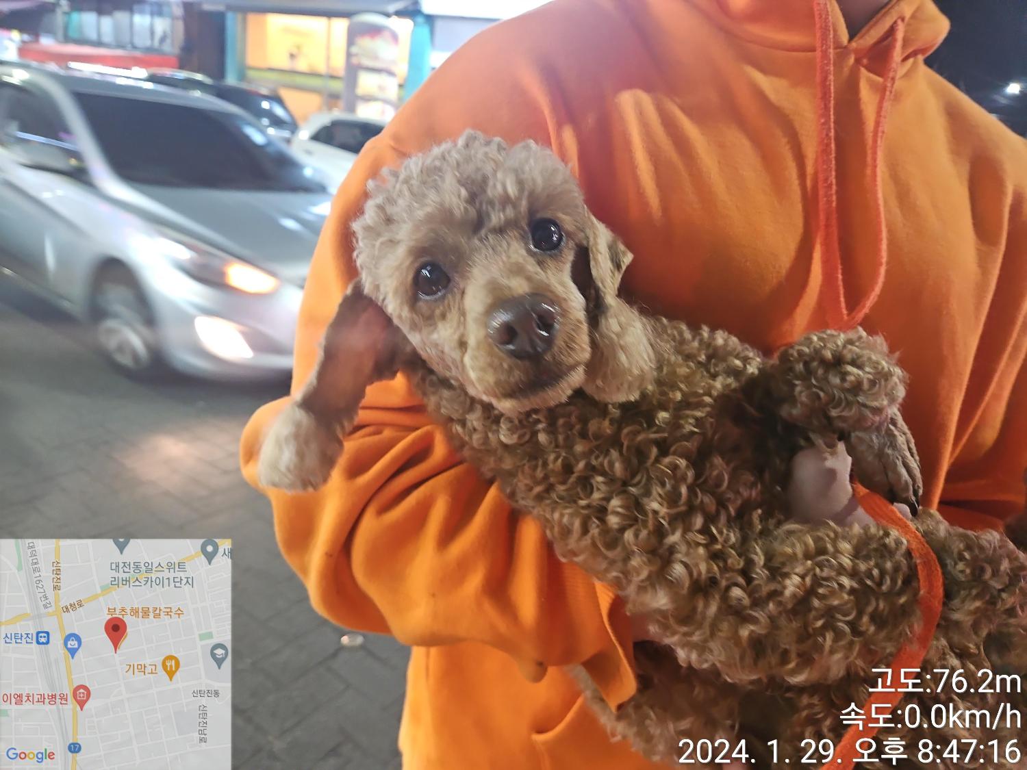 대전동물보호센터_430368202400011