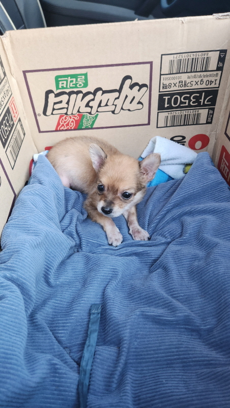 익산유기동물보호소_445468202400170