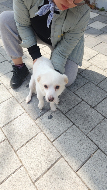 익산유기동물보호소_445468202400167