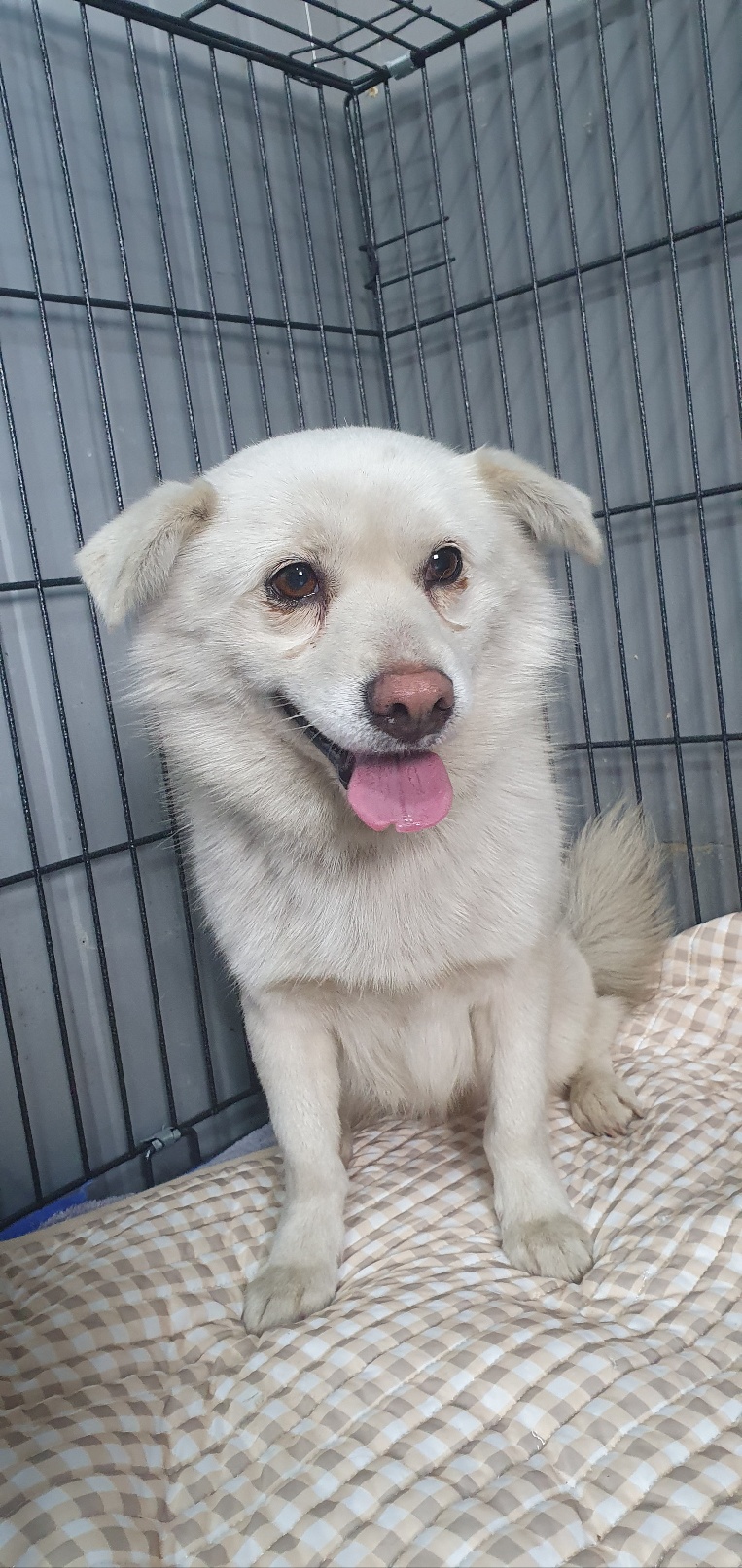 하남동물보호센터_441404202400012