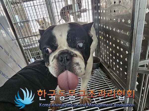 종료(반환) 프렌치…