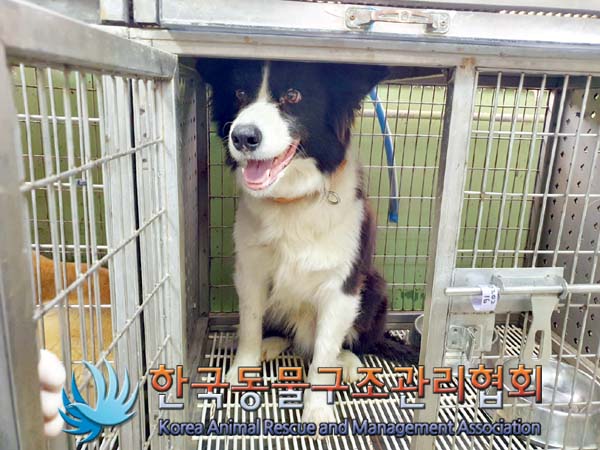 한국동물구조관리협회_441414202400058