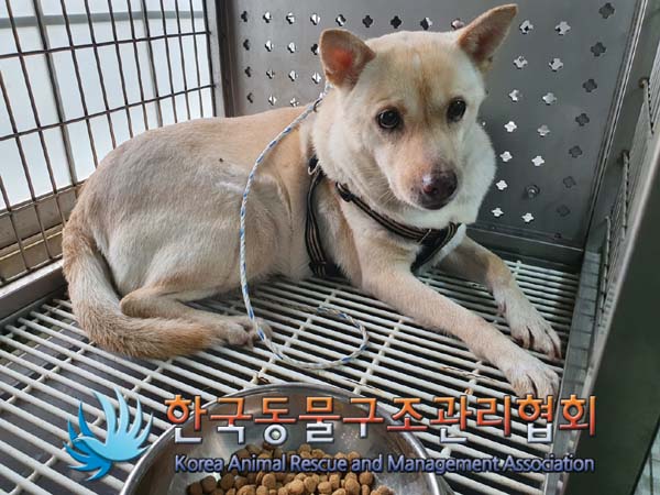 종료(안락사) 믹스…