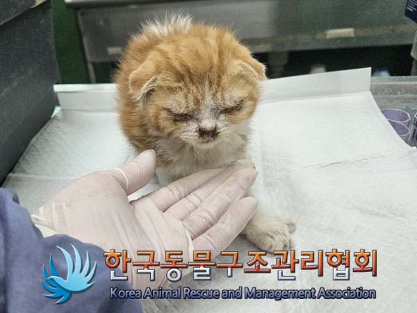 한국동물구조관리협회_411300202400011