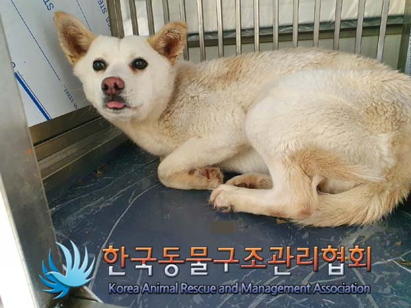 한국동물구조관리협회_441392202400024