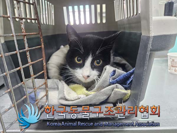 한국동물구조관리협회_441382202400019