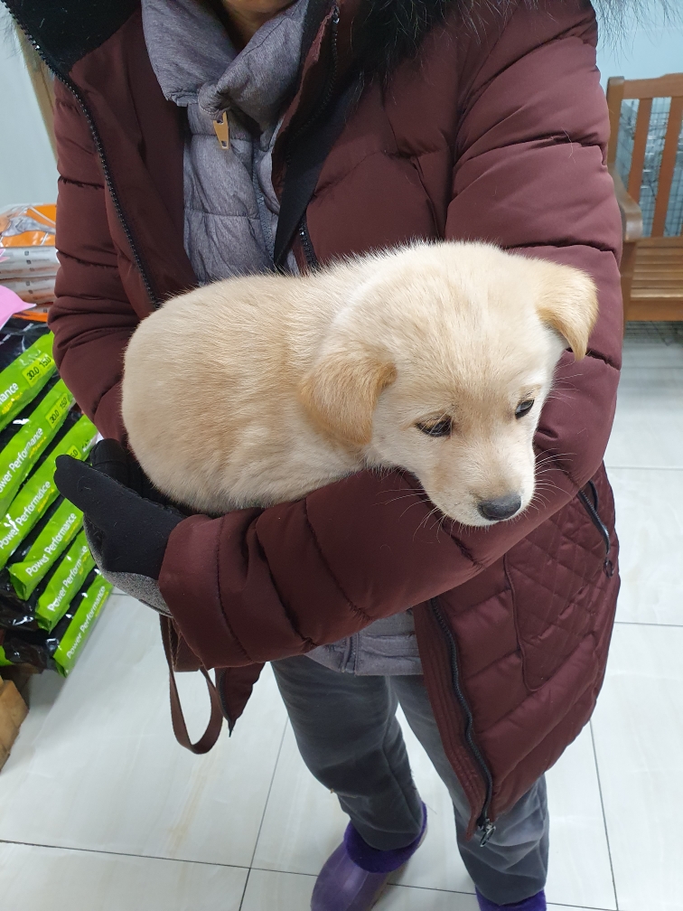 최종주동물병원_443444202400019