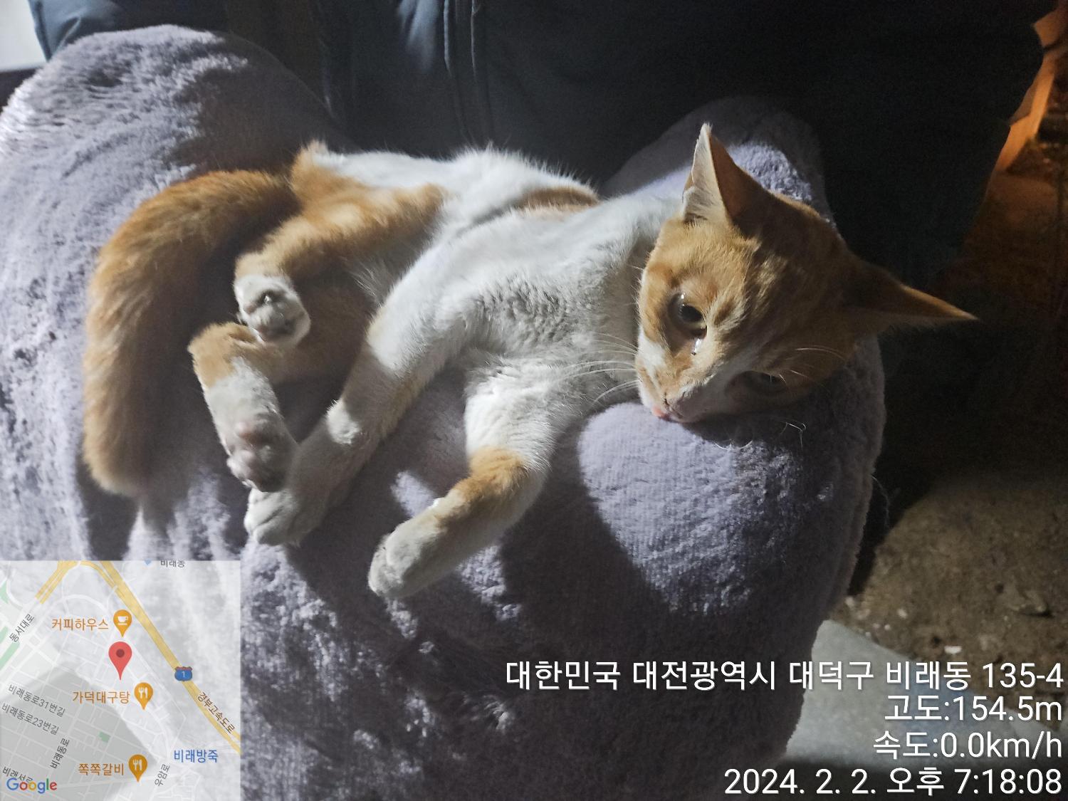 종료(자연사) 한국…