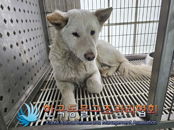 한국동물구조관리협회_441414202400059