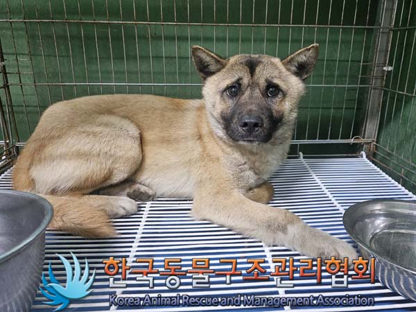 한국동물구조관리협회_441414202400060